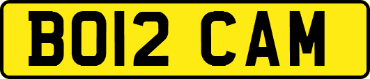 BO12CAM