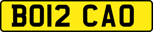 BO12CAO
