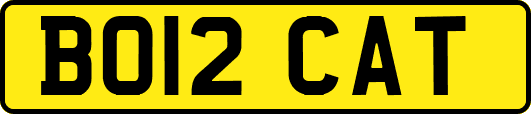 BO12CAT