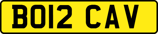 BO12CAV