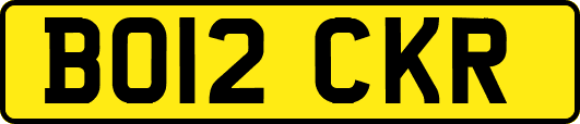 BO12CKR