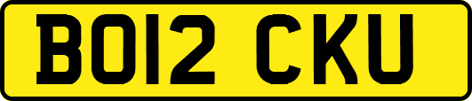 BO12CKU
