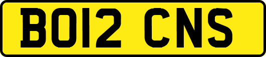 BO12CNS