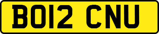 BO12CNU