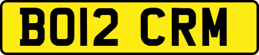 BO12CRM
