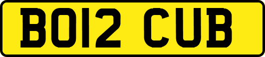 BO12CUB