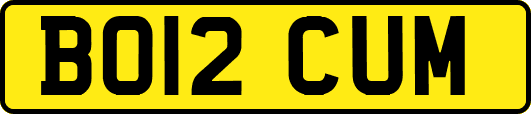 BO12CUM