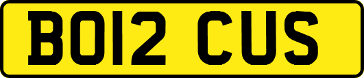 BO12CUS