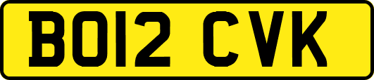 BO12CVK