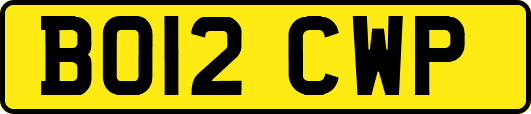 BO12CWP