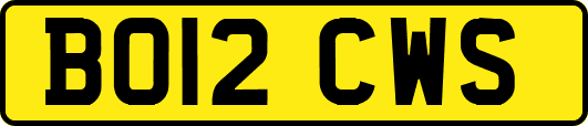 BO12CWS
