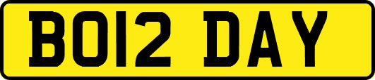 BO12DAY
