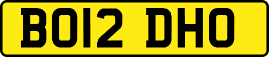 BO12DHO