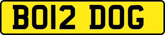 BO12DOG