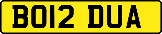 BO12DUA
