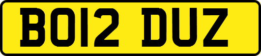 BO12DUZ