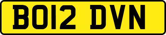 BO12DVN