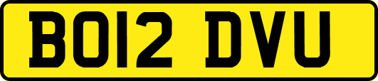 BO12DVU