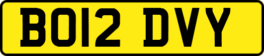 BO12DVY