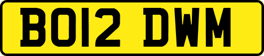 BO12DWM
