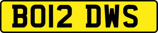 BO12DWS