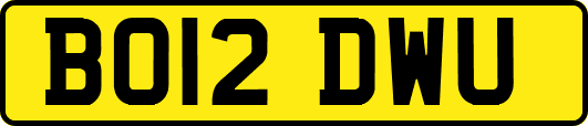 BO12DWU