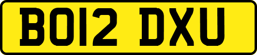BO12DXU