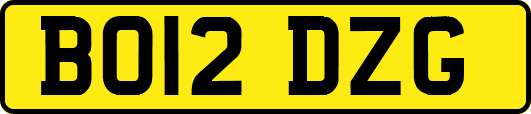BO12DZG