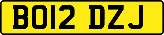 BO12DZJ