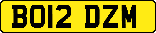 BO12DZM
