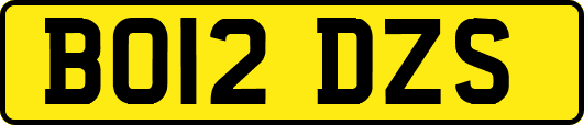 BO12DZS