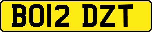 BO12DZT