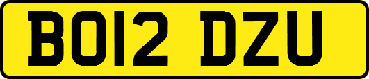 BO12DZU
