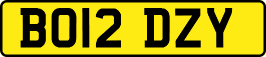 BO12DZY