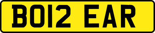 BO12EAR