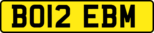 BO12EBM