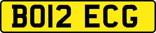 BO12ECG