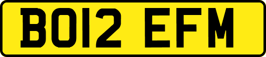 BO12EFM