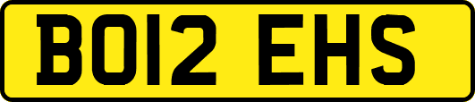 BO12EHS