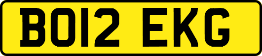 BO12EKG