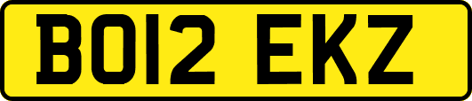 BO12EKZ