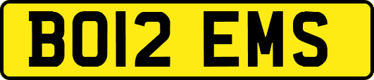 BO12EMS