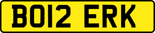 BO12ERK
