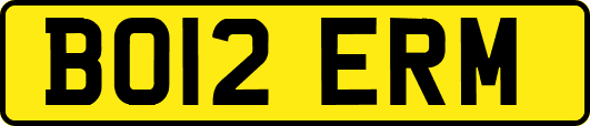 BO12ERM