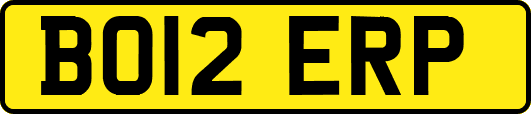 BO12ERP
