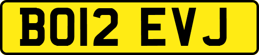 BO12EVJ