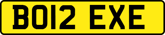 BO12EXE