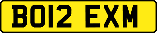 BO12EXM