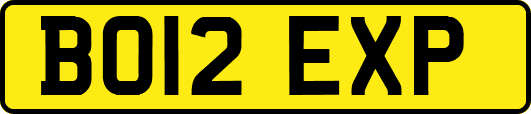 BO12EXP