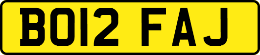 BO12FAJ